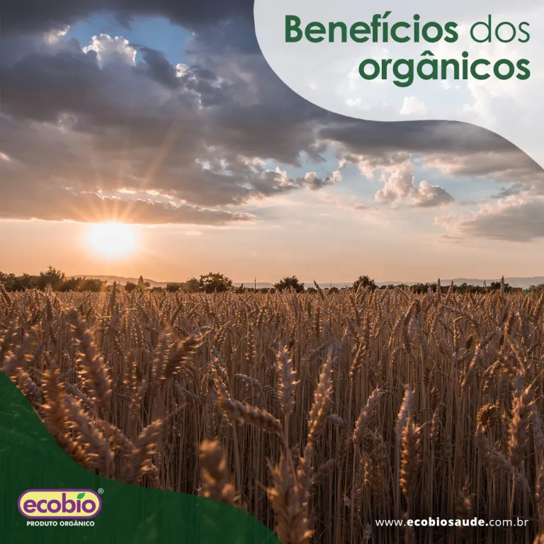 Benefícios dos orgânicos